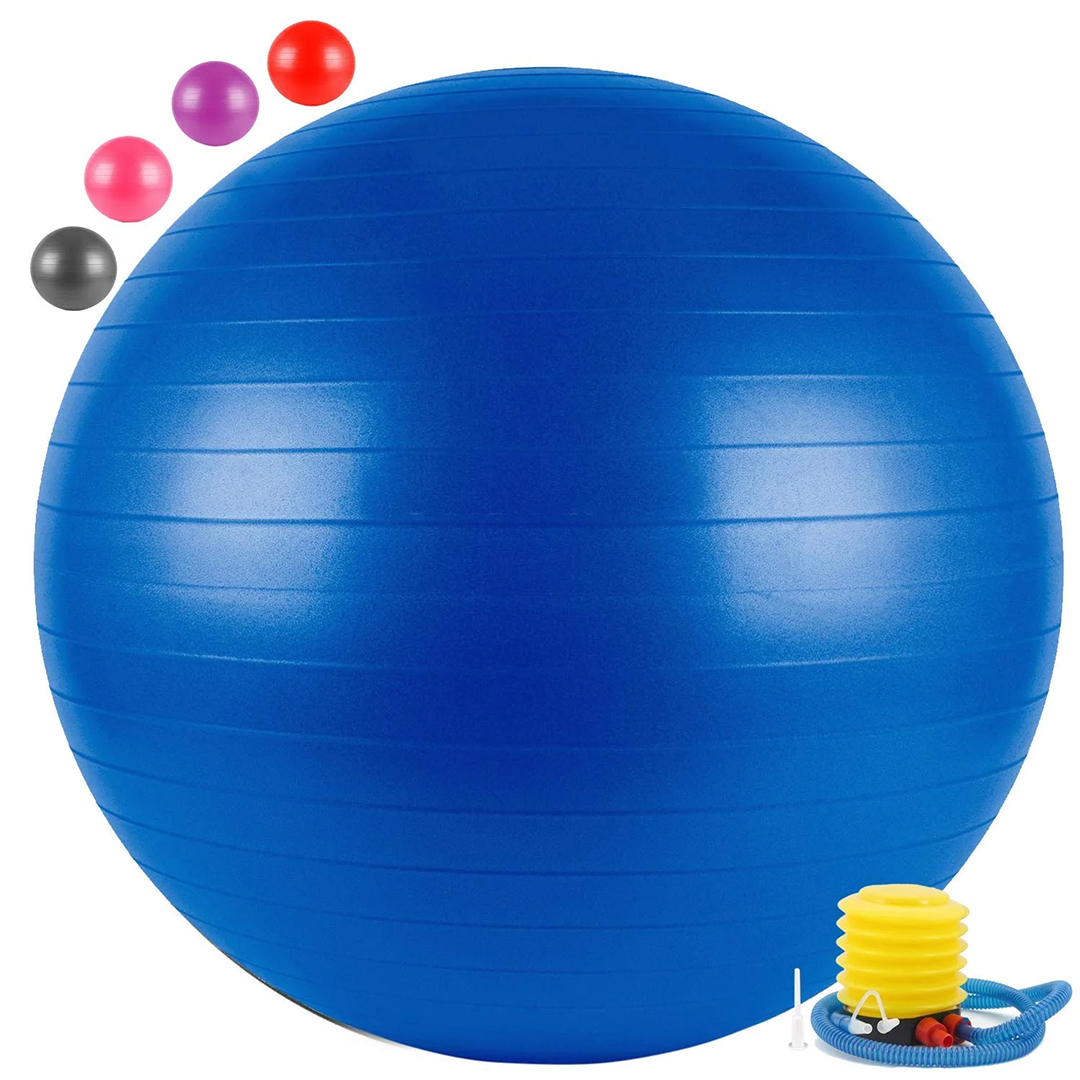 PGB-65 Gym Ball