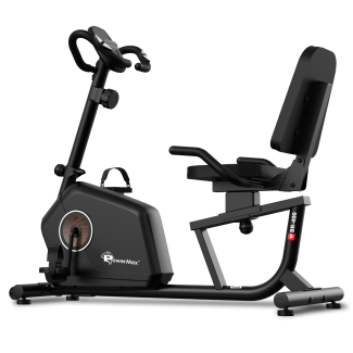 BR-400 Recumbent Exercise Bike for Home use