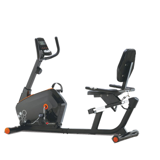 BR-600 Magnetic Recumbent Bike